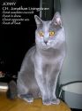 Click image to open!